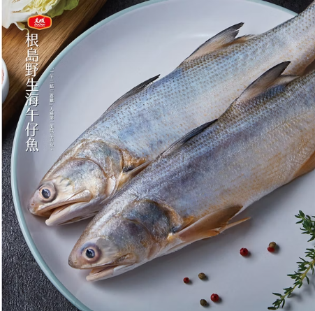 大成安心購-根島野生海午仔魚(500-600g/隻*18隻)-成箱