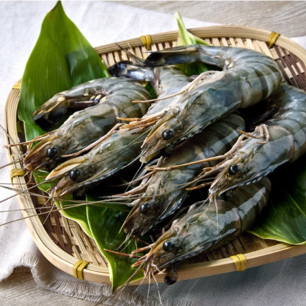 大成安心購-根島生態蝦(400g/盒/12隻)